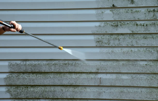 Best Roof Power Washing Services  in Tusculum, TN