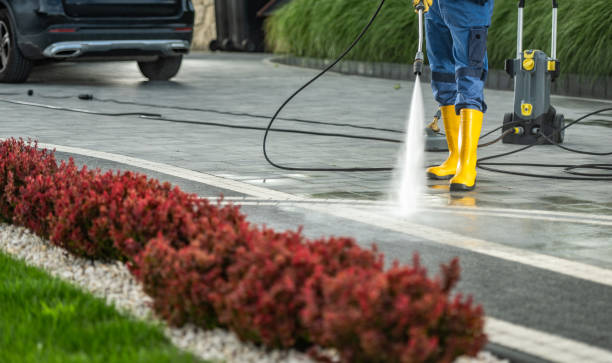 Best Roof Pressure Washing  in Tusculum, TN