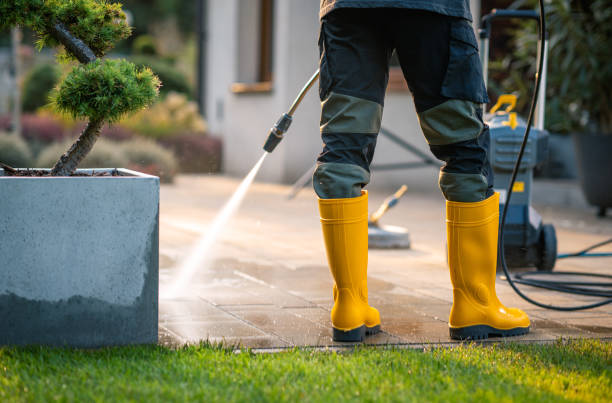 Best House Pressure Washing  in Tusculum, TN